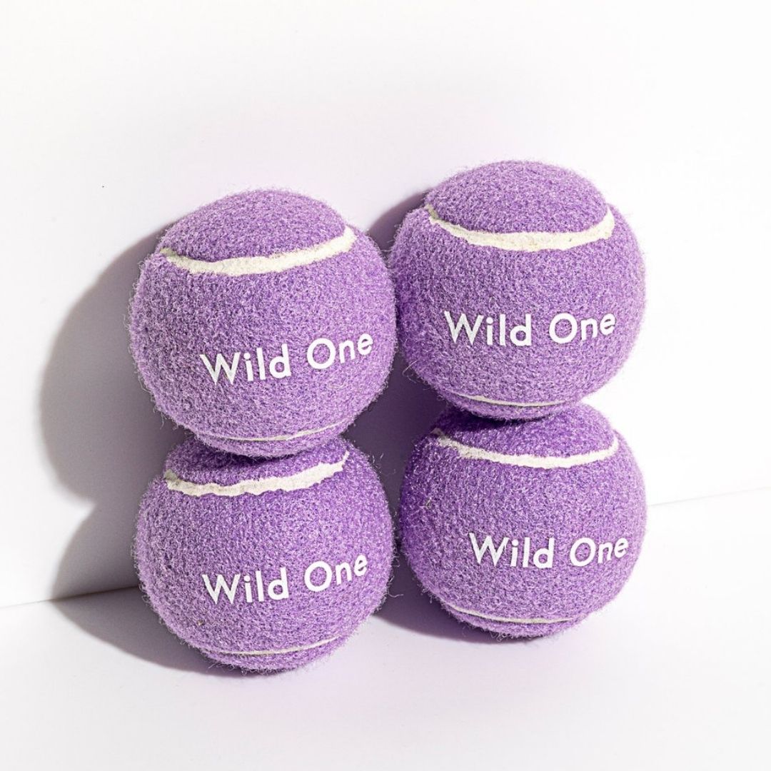 Wild One Tennis Balls (Pack of 4)
