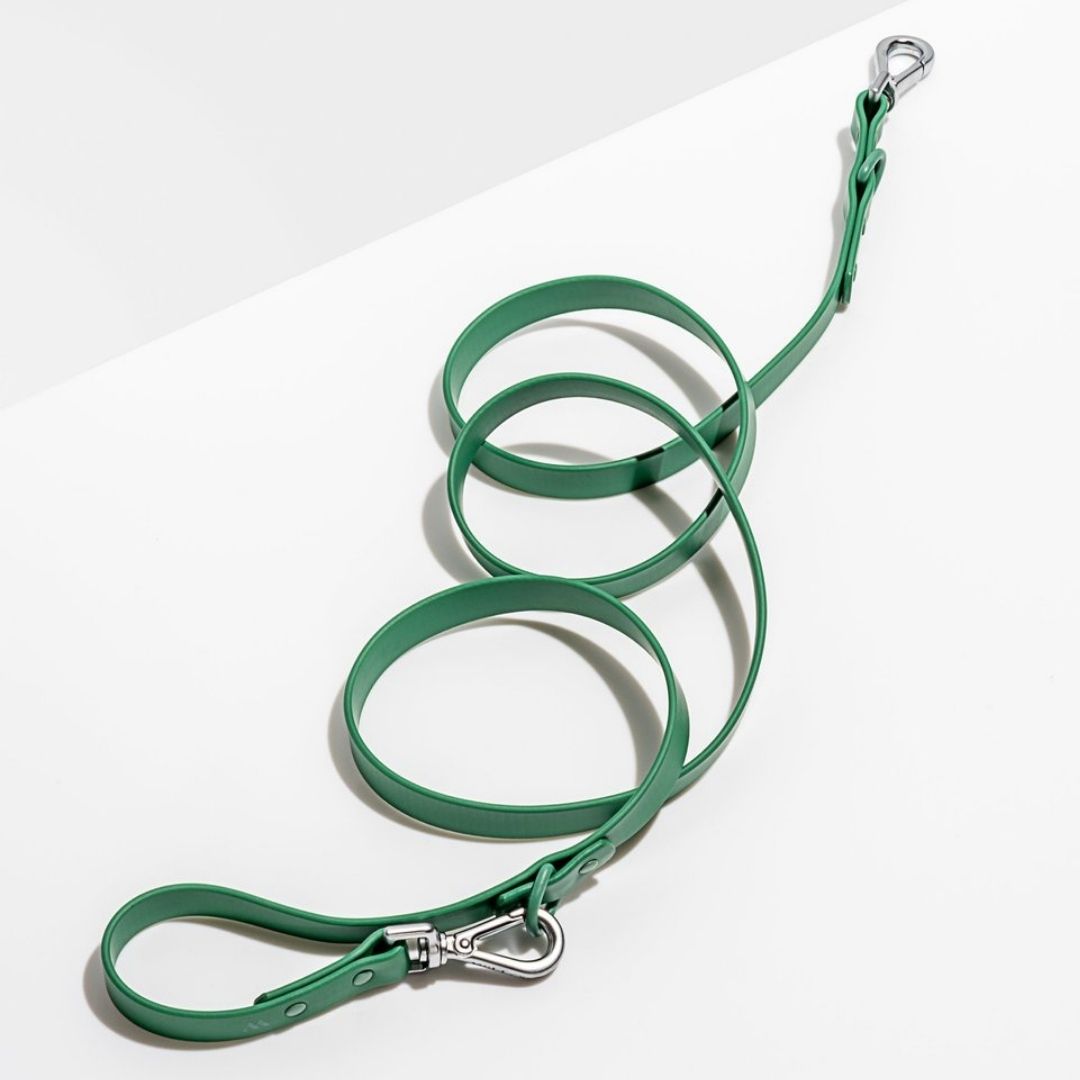Flex All-Weather Leash Wild One