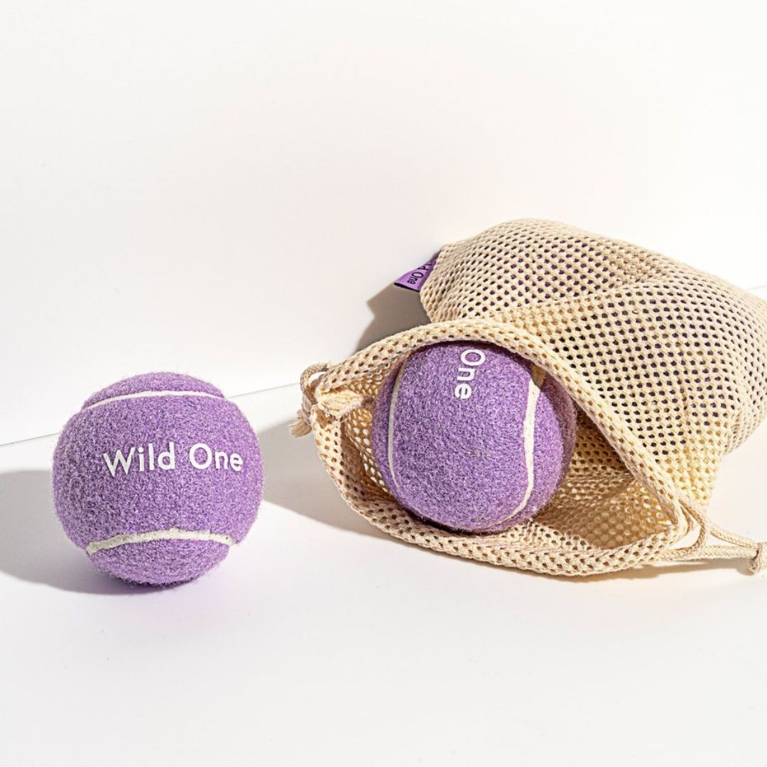 Wild One Tennis Balls (Pack of 4)