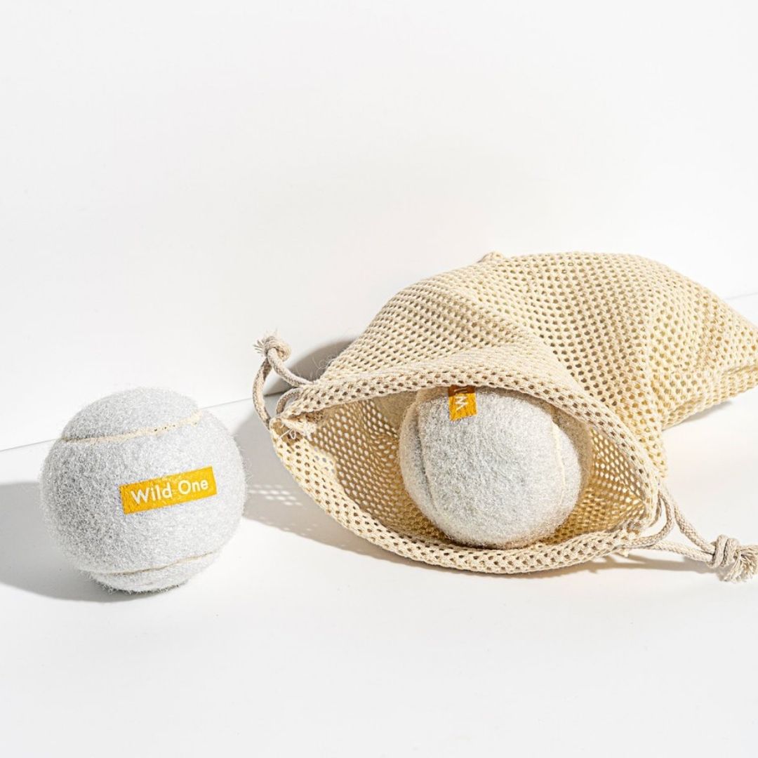 Wild One Tennis Balls (Pack of 4)