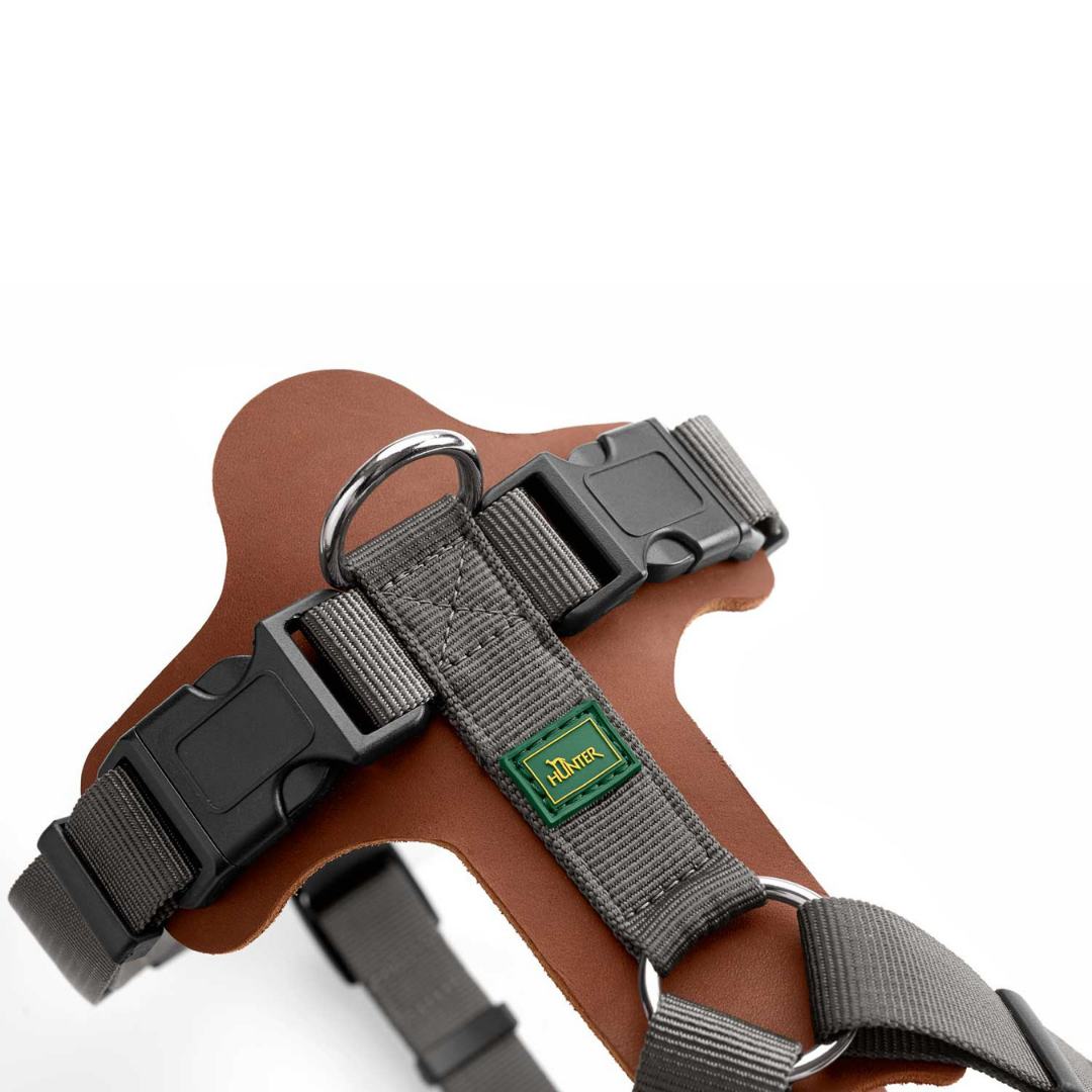 Hunter Harness Aalborg Mixed