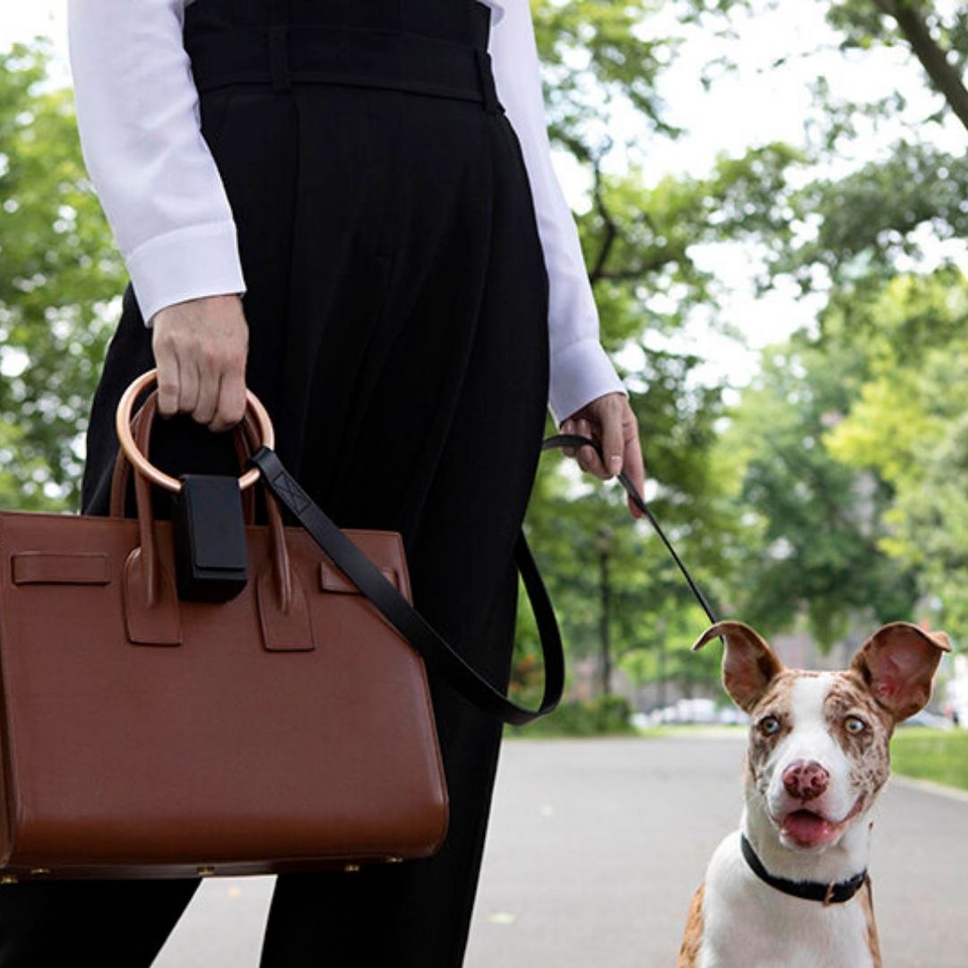 Lumi Leash