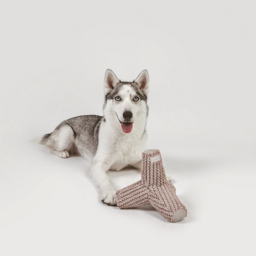 Breuer Dog Toy Taupe (2 sizes available)