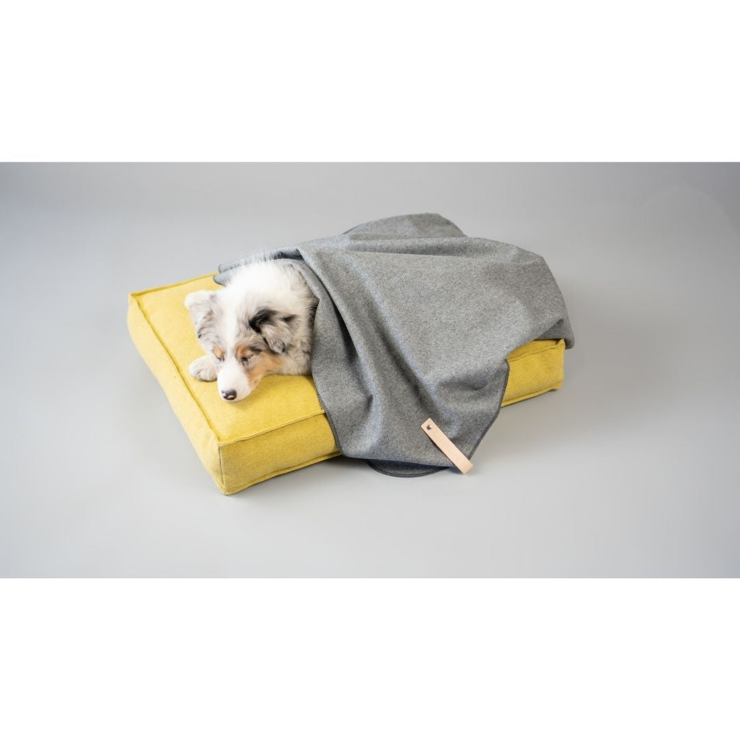 Dog Blanket Asnen
