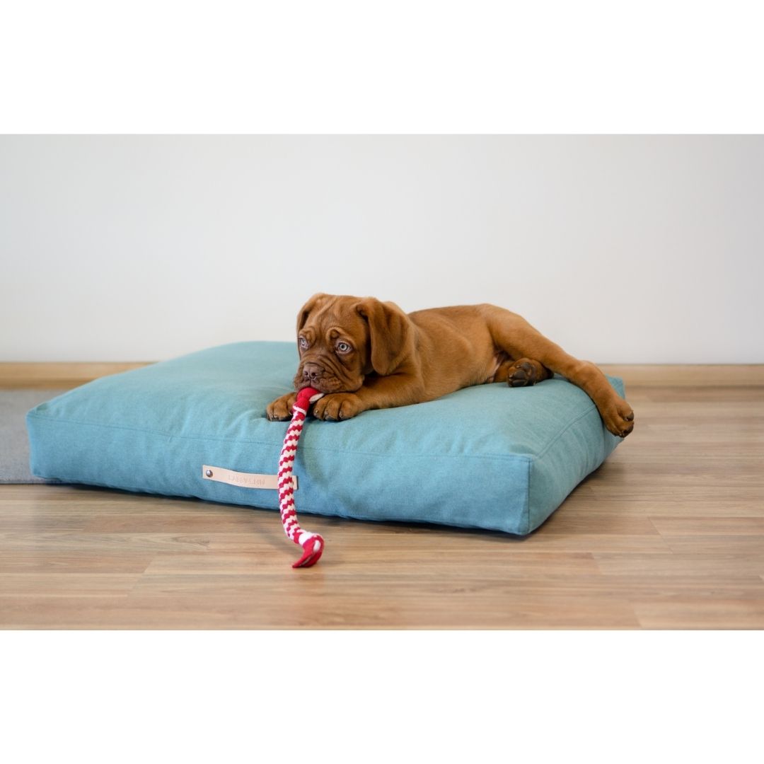 Dog Cushion Copenhagen