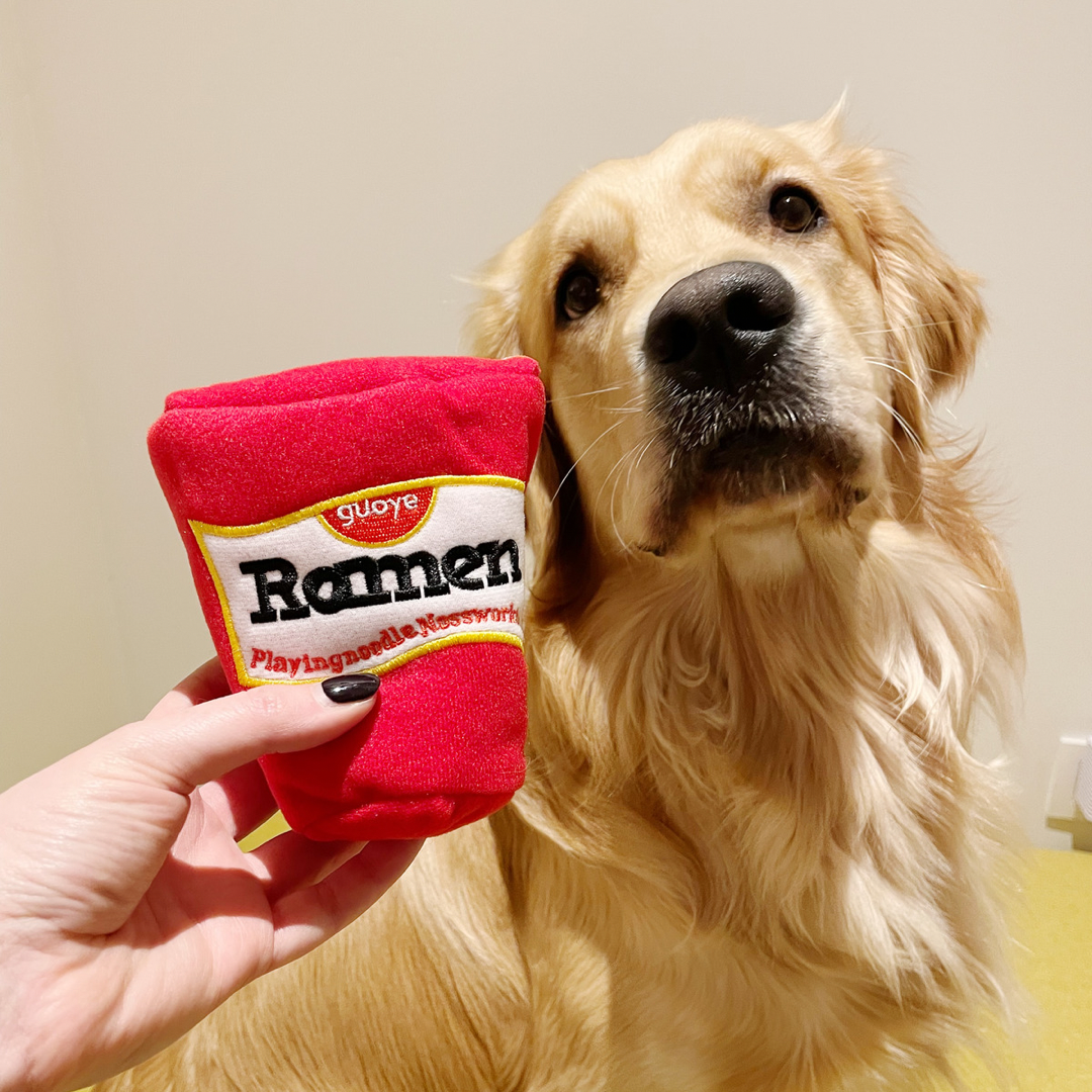 Nosework Dog Toy Ramen