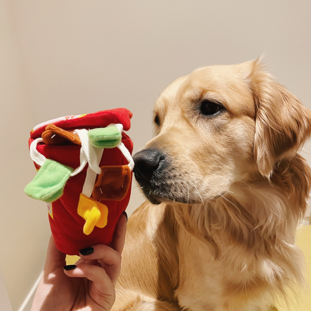 Ramen Nosework Plush Dog Toy - Boris & Horton