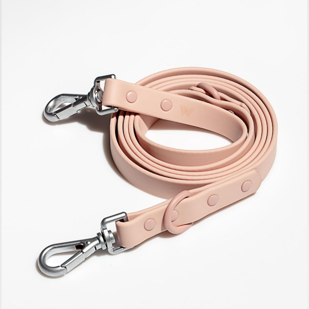 Wild One Leash Flex all-weather water-proof – Spencer Me