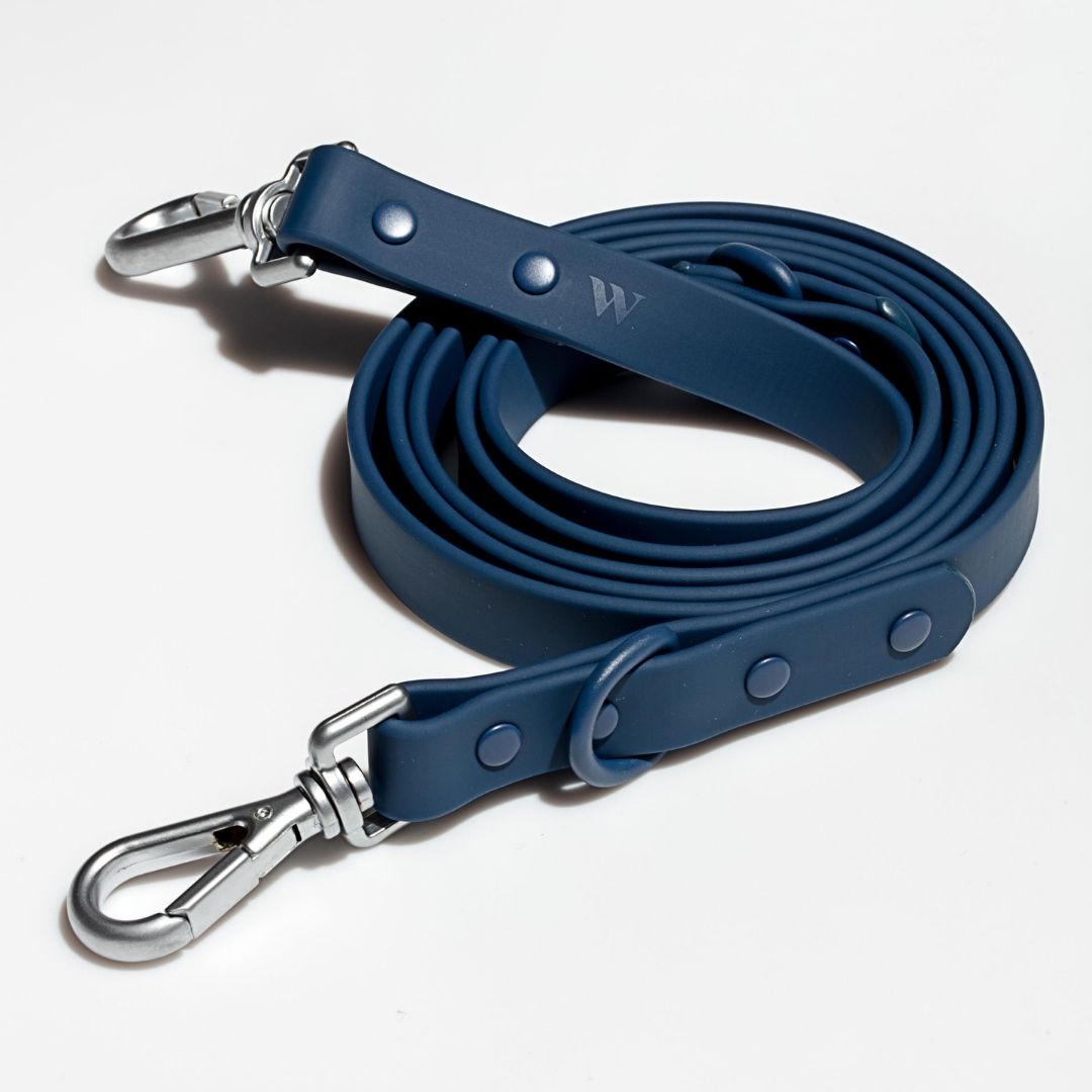 Flex All-Weather Leash Wild One