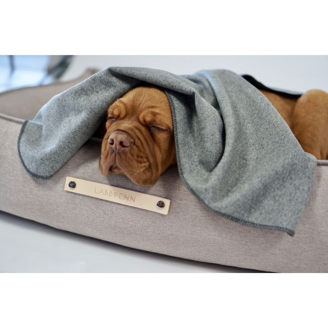 Dog Blanket Asnen