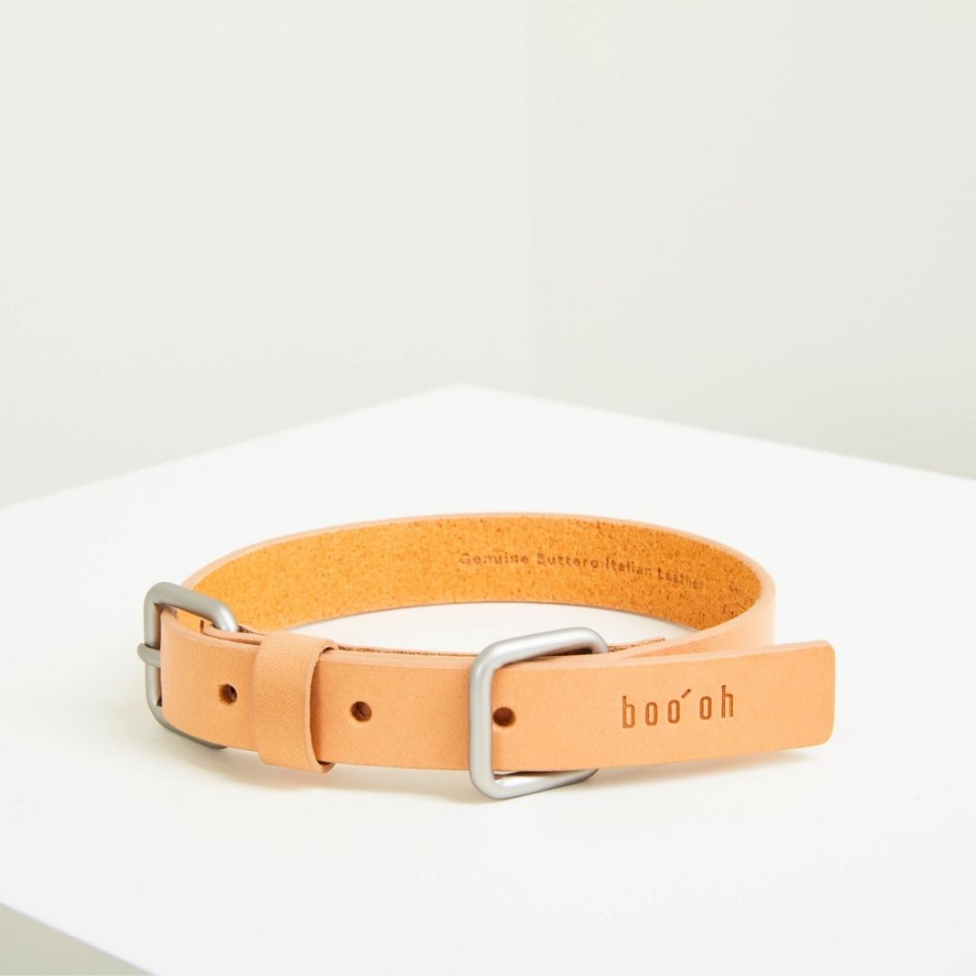 Lumi Collar