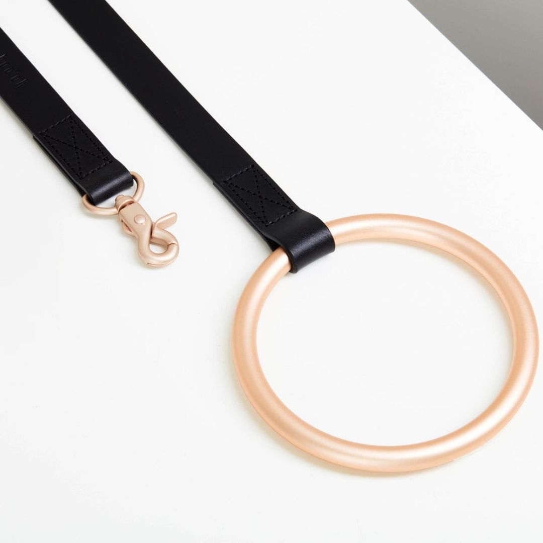 Lumi Leash
