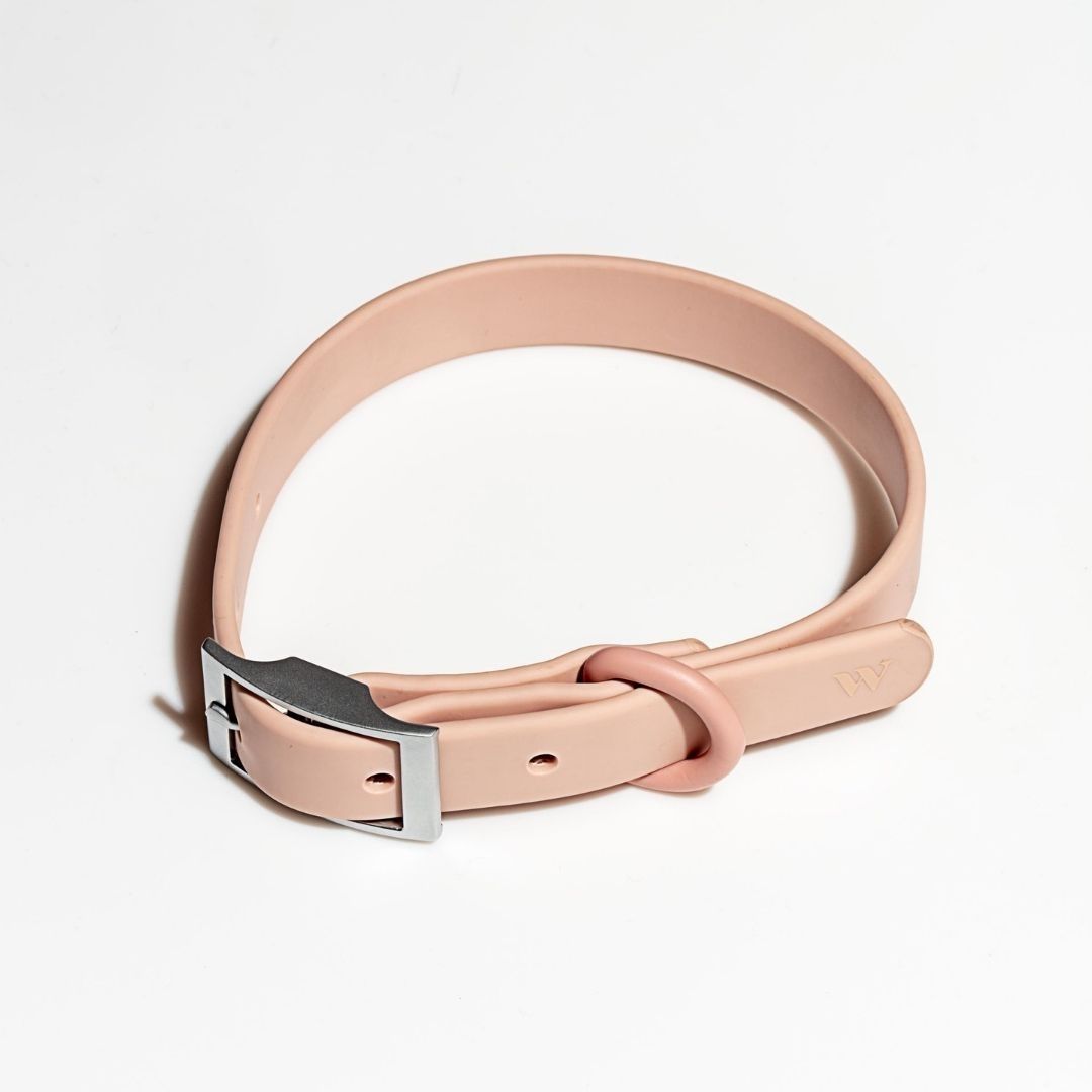 Flex All-Weather Collar Wild One