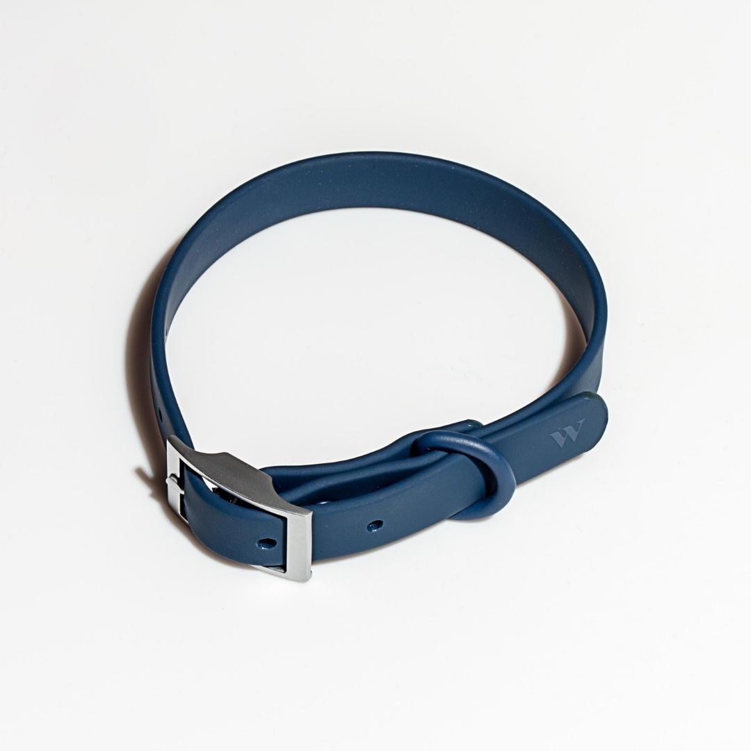 Flex All-Weather Collar Wild One